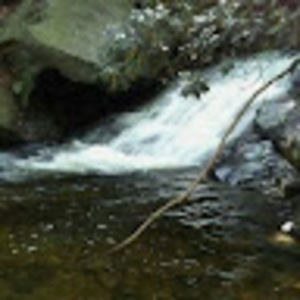 Meet your Posher, Tamia